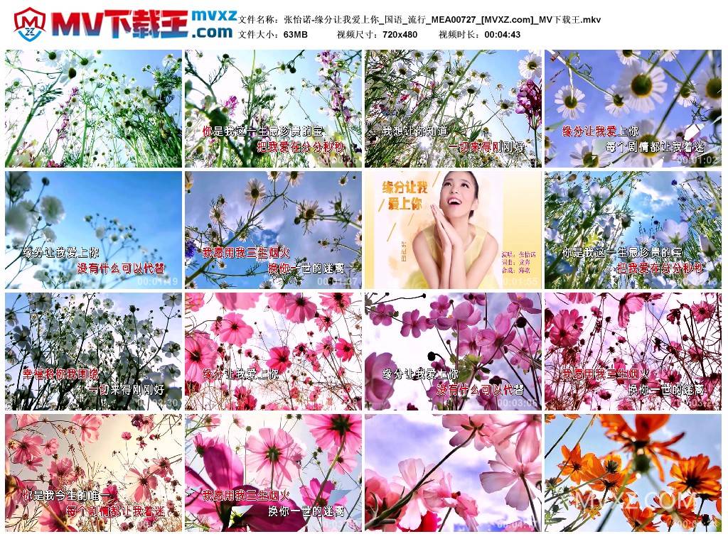 张怡诺-缘分让我爱上你_国语_流行_MEA00727